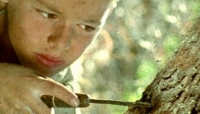  "Το δέντρο που πληγώναμε" από το Cine-Δράση την Πέμπτη στο ΤΥΠΕΤ.